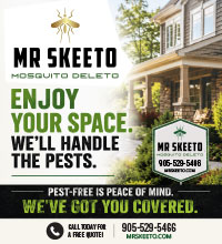 Mr Skeeto Inc